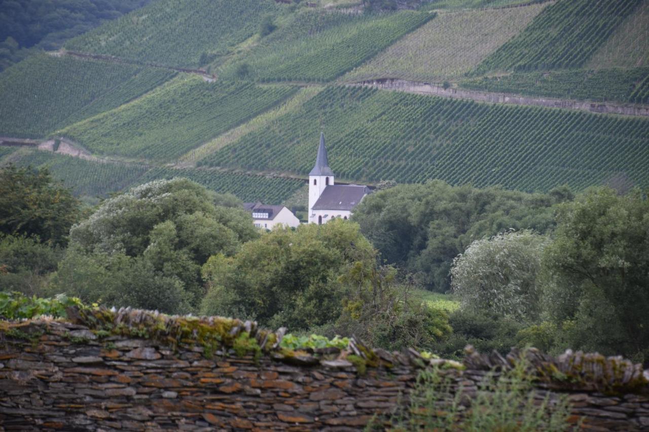 The Wine Cellar In The Old Gemeinde House Brauneberg Kültér fotó