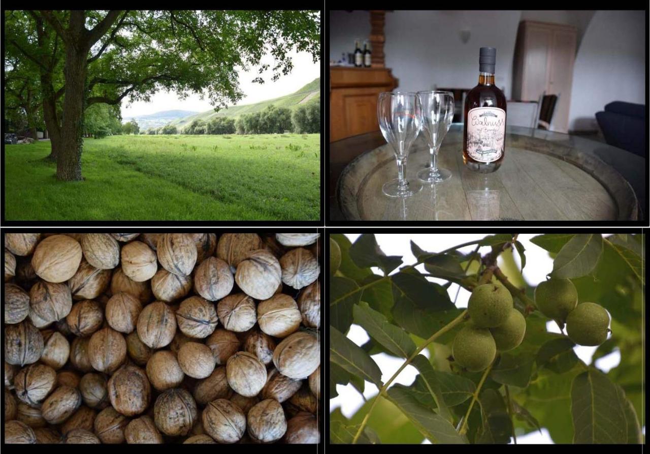 The Wine Cellar In The Old Gemeinde House Brauneberg Kültér fotó